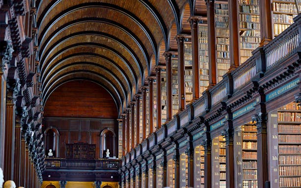Long Room in the Old Library, Trinity College, Dublin, with rows of books and arched ceiling.