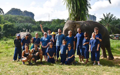 Group with elephants at Krabi Elephant Care and Poo Paper Workshop, Thailand.