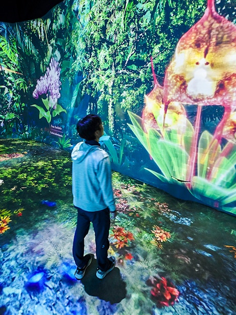 Tourists exploring vibrant digital flora at Cloud Forest Hidden Gallery, Gardens by the Bay.