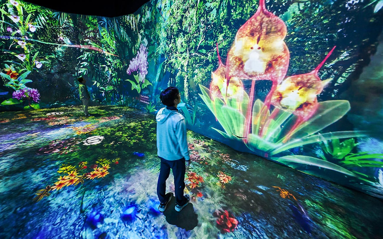 Tourists exploring vibrant digital flora at Cloud Forest Hidden Gallery, Gardens by the Bay.