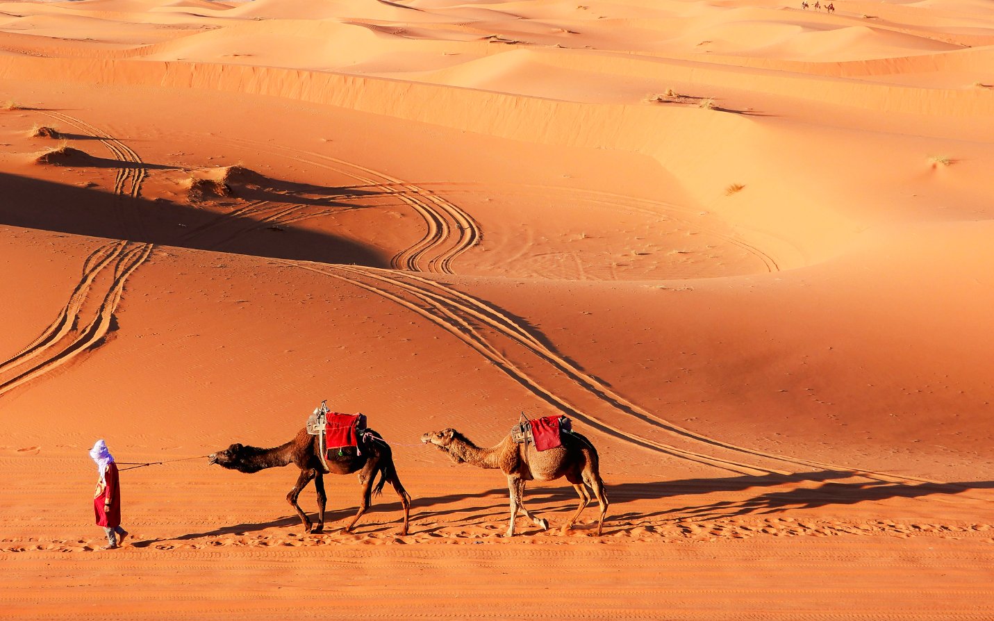 Camel trek across Merzouga dunes with guide, Marrakech to Merzouga tour.