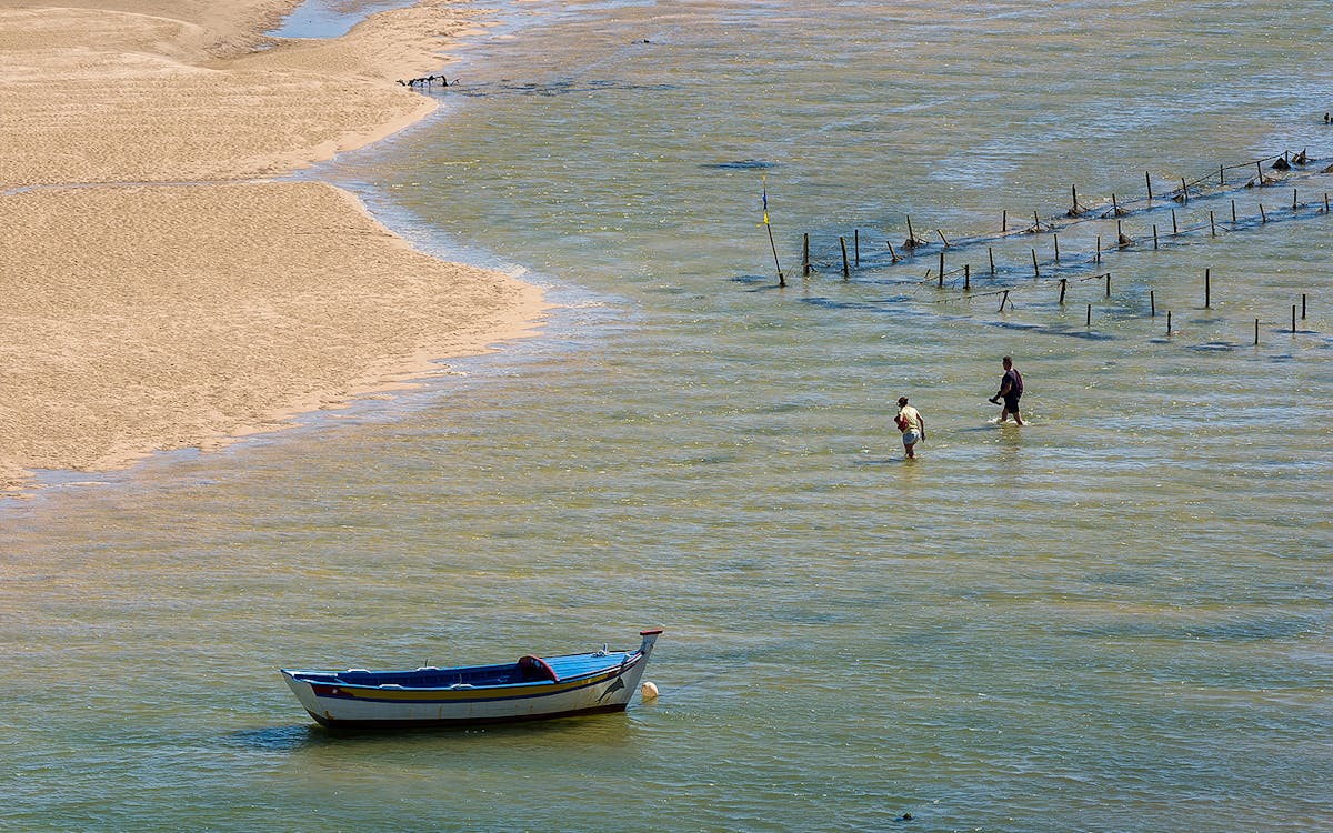 full-day private guided cruise in ria formosa-2 full-day private guided cruise in ria formosa-2