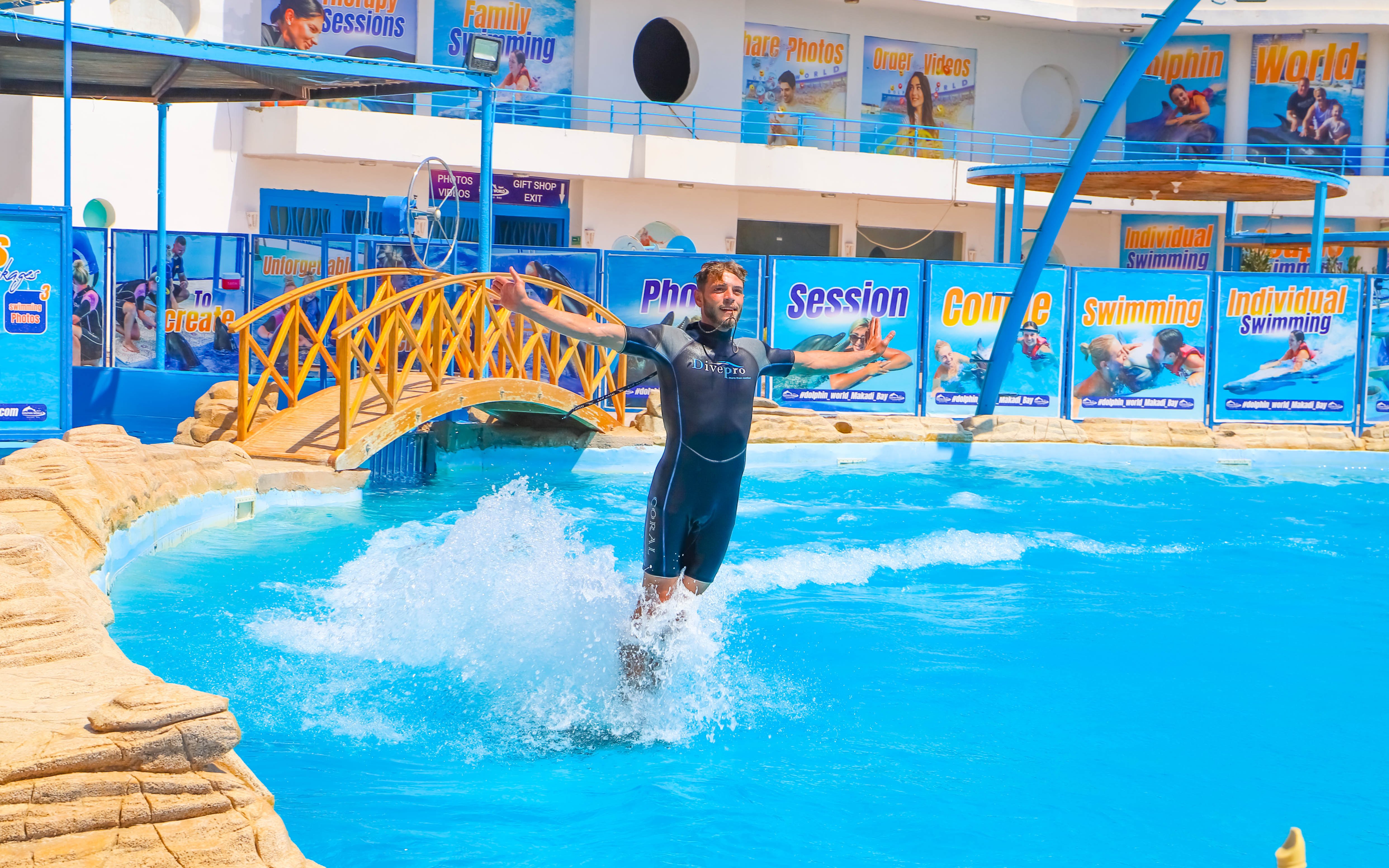 Instructor standing on dolphin's back at Egypt Dolphin World, Hurghada.