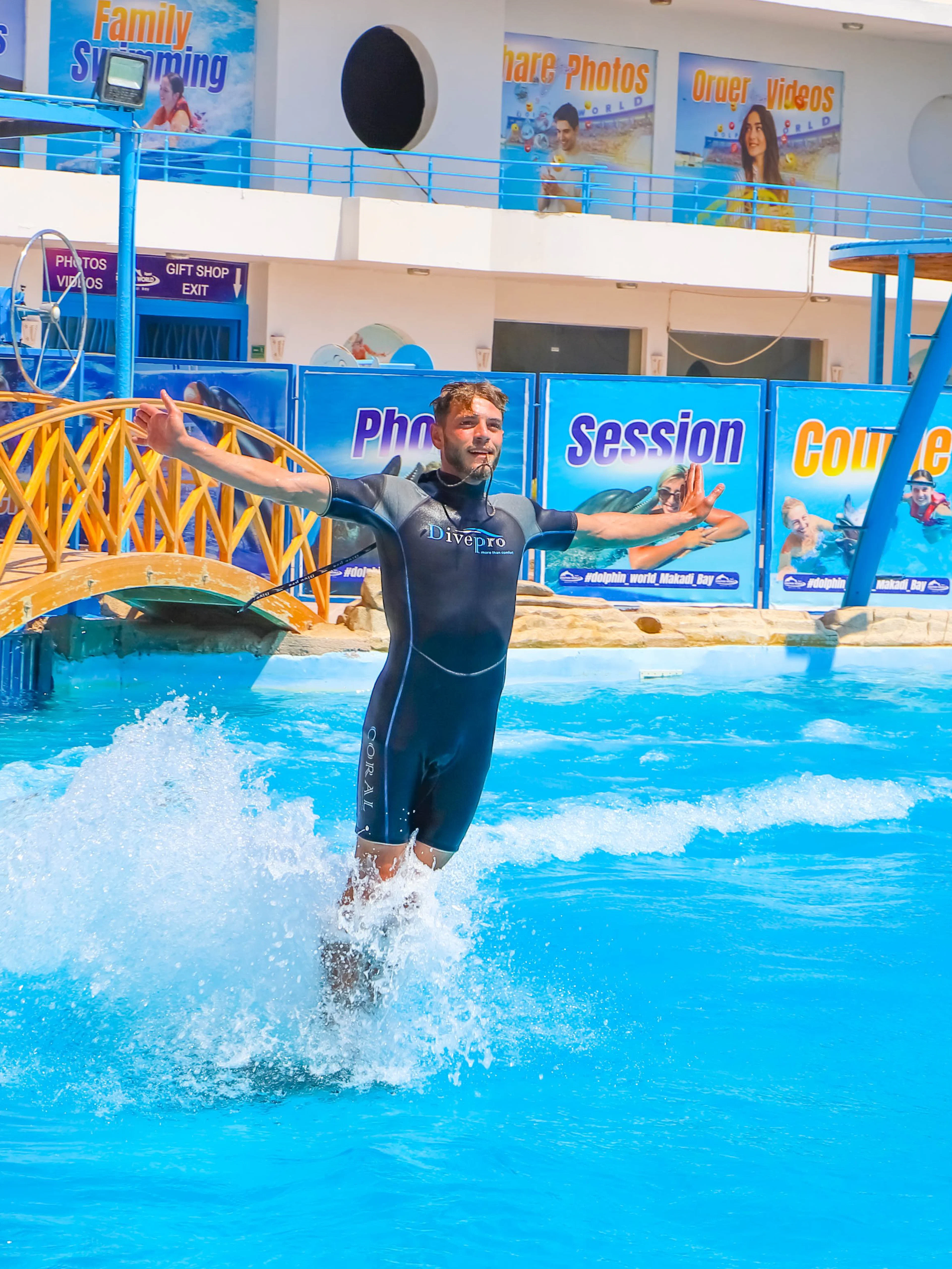 Instructor standing on dolphin's back at Egypt Dolphin World, Hurghada.