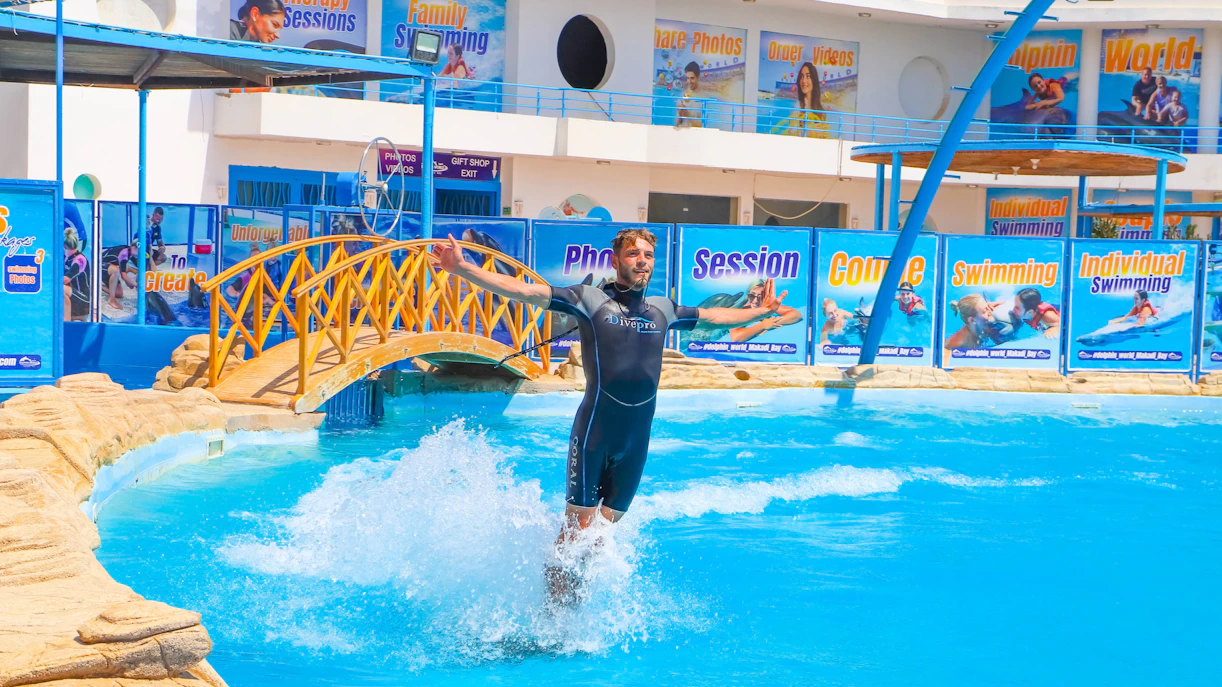 Instructor standing on dolphin's back at Egypt Dolphin World, Hurghada.