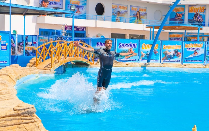 Instructor standing on dolphin's back at Egypt Dolphin World, Hurghada.