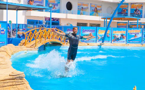 Instructor standing on dolphin's back at Egypt Dolphin World, Hurghada.