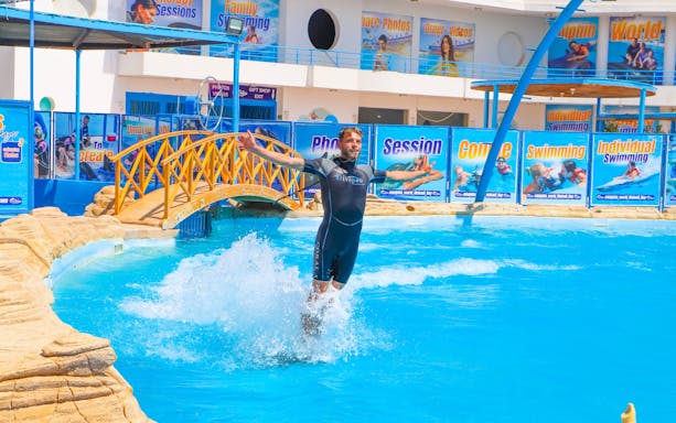 Instructor standing on dolphin's back at Egypt Dolphin World, Hurghada.