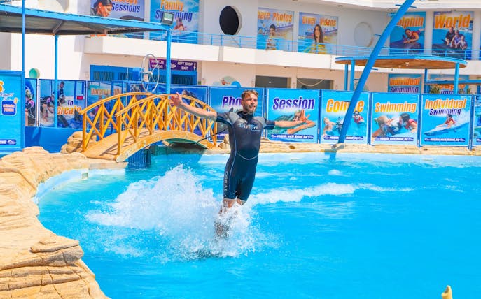 Instructor standing on dolphin's back at Egypt Dolphin World, Hurghada.