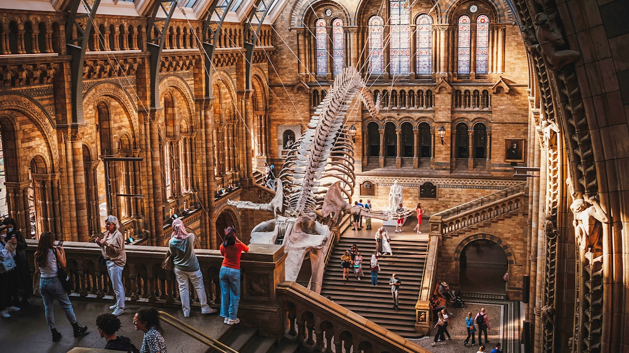 Whale skeleton in the grand hall of the Natural History Museum, London, with visitors exploring.