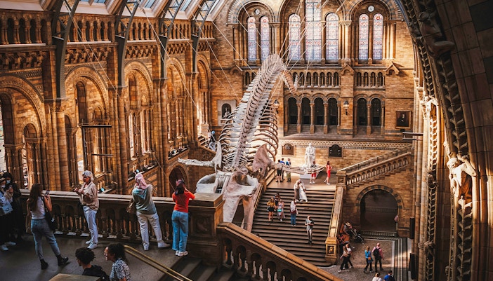 Natural History Museum London interior with dinosaur skeleton exhibit.