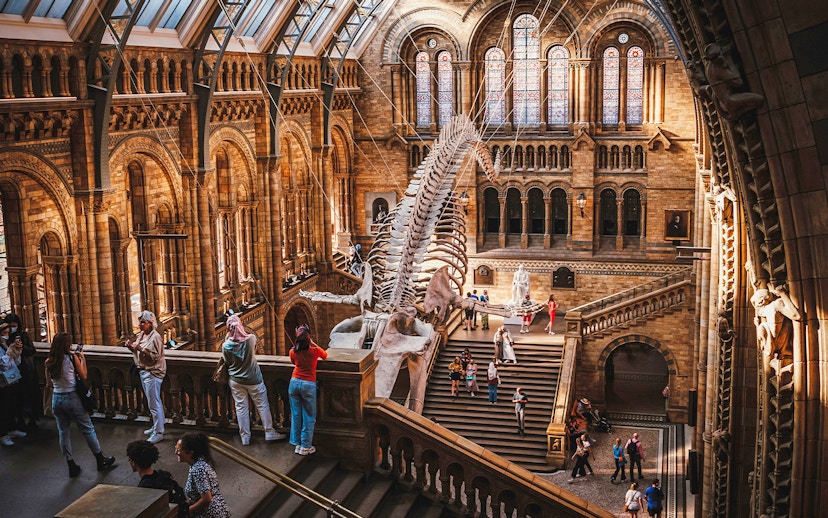 Whale skeleton in the grand hall of the Natural History Museum, London, with visitors exploring.