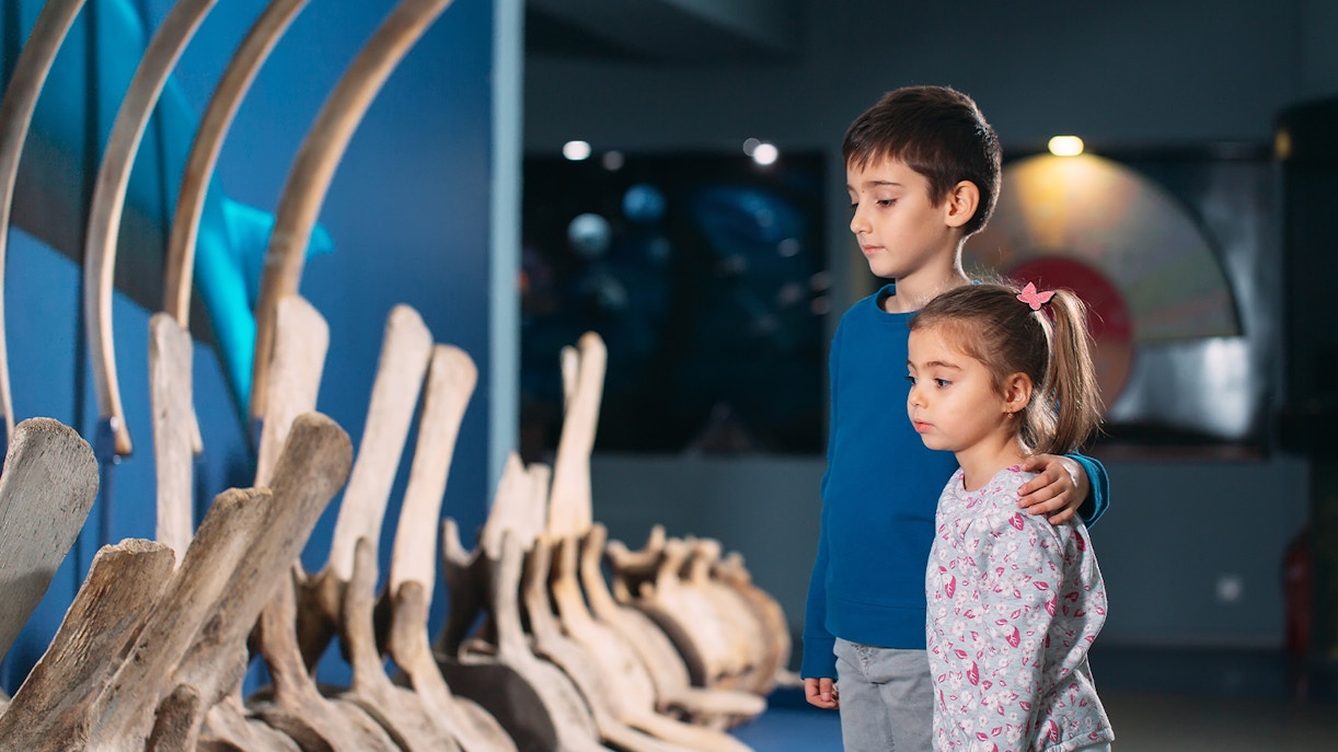 Children observing whale bones exhibit at NEMO Science Museum, Amsterdam.