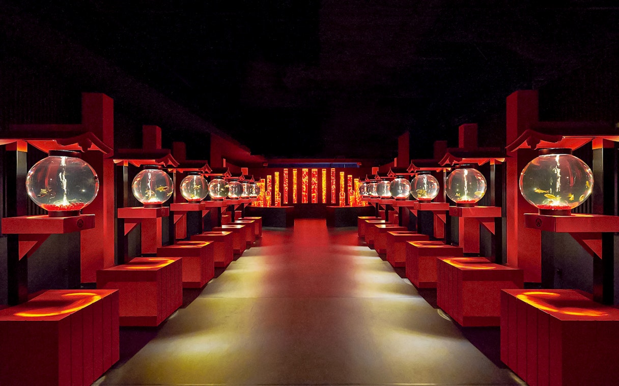 Path through Art Aquarium Museum with red stands holding lit goldfish bowls.