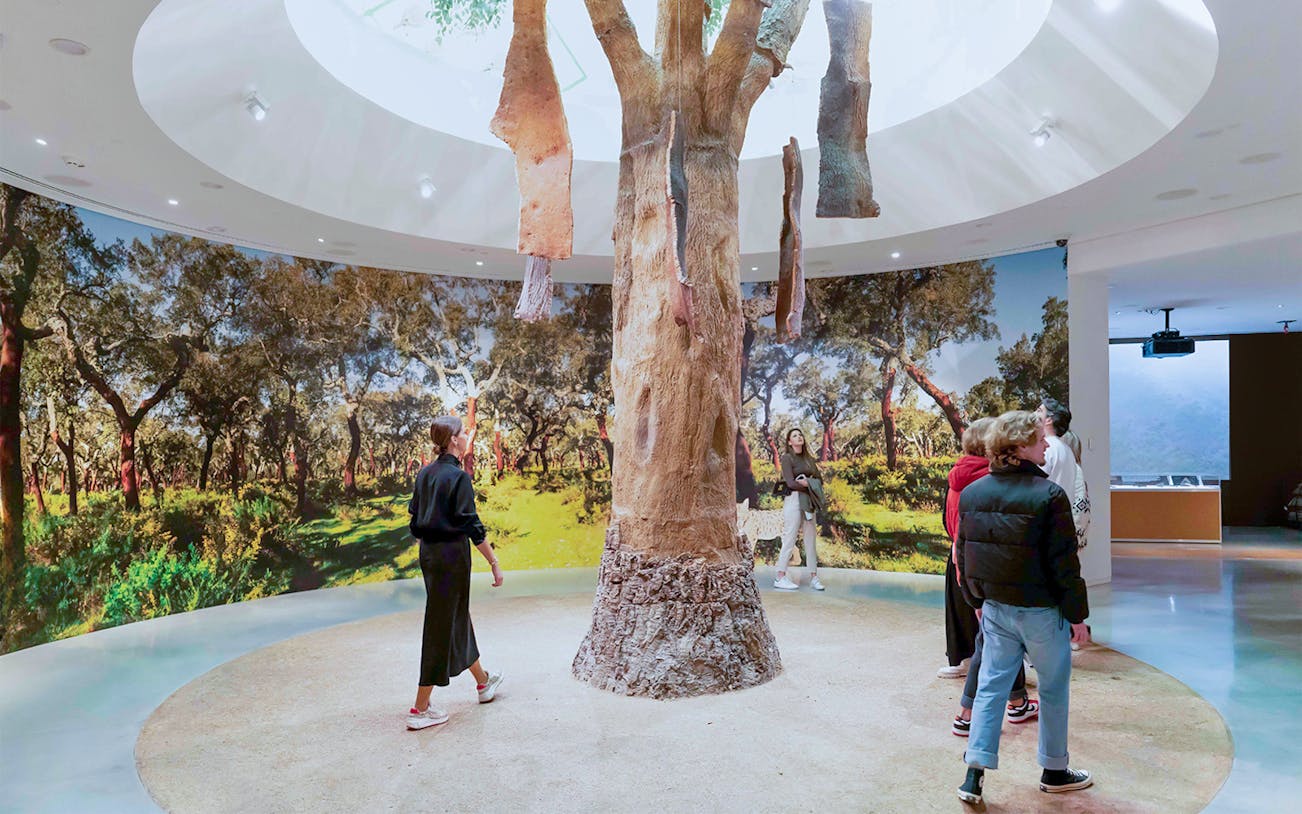Visitors exploring a tree exhibit in WOW Porto Cultural District museum.