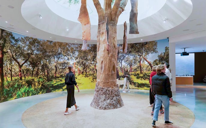 Visitors exploring a tree exhibit in WOW Porto Cultural District museum.