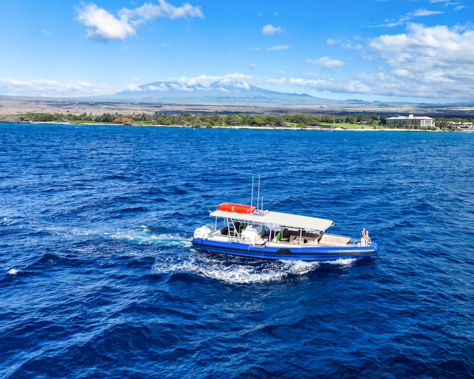 Mauna Kea Sealife Snorkeling by RIB Boat (Product 52768)