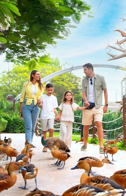 Family walking among ducks at Dubai Safari Park.