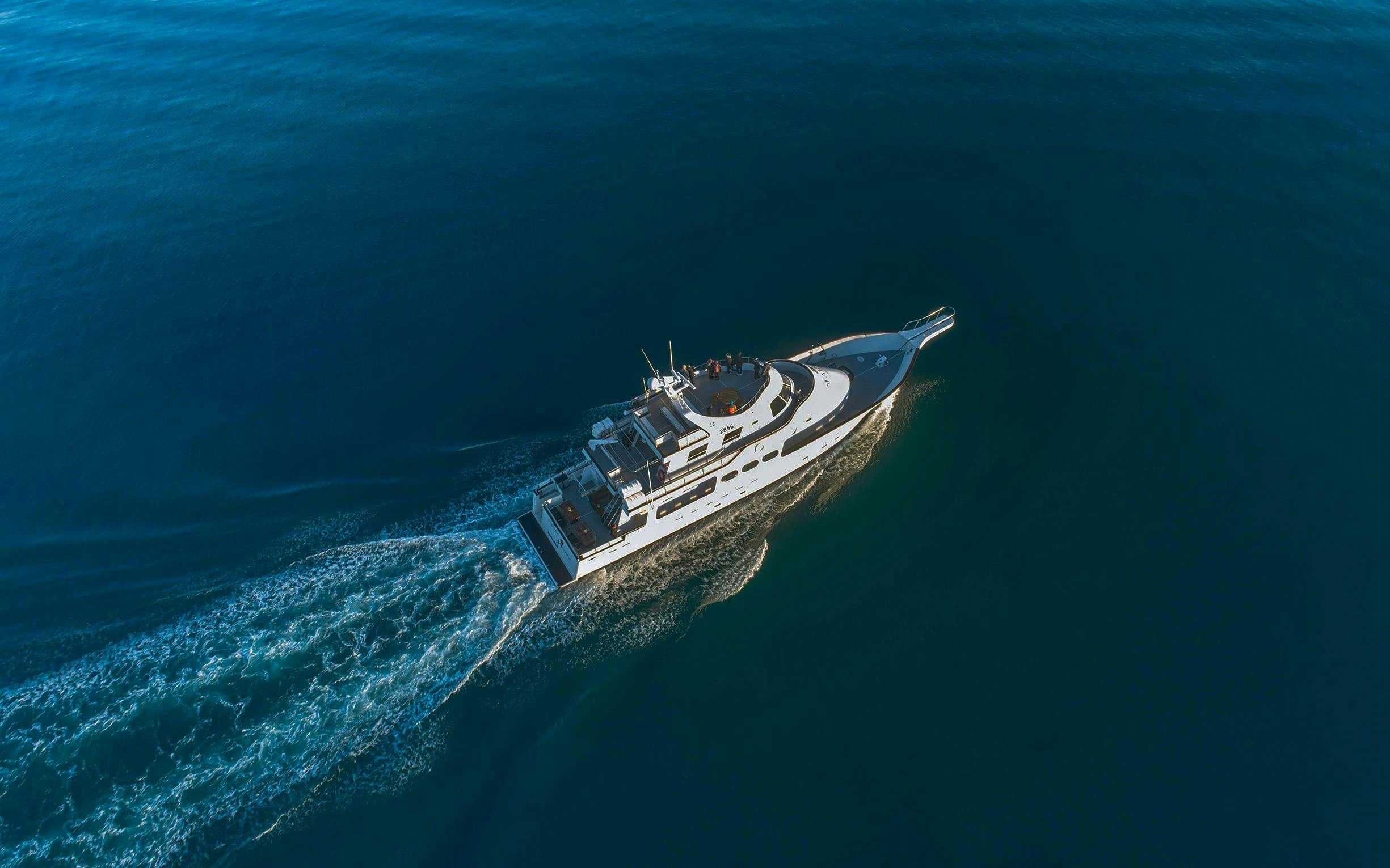 Amelia Rose yacht cruising for whale watching near Reykjavík.