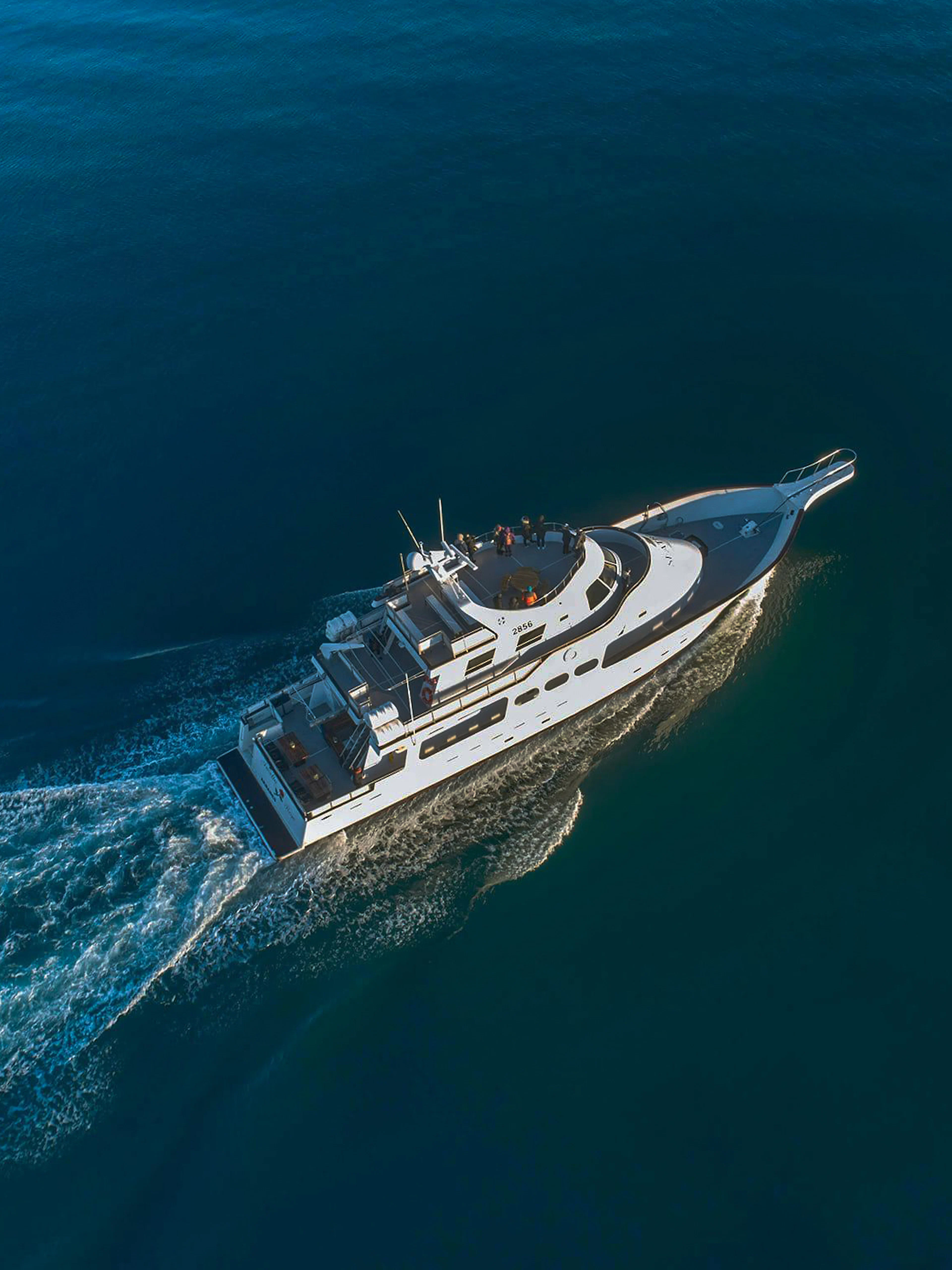 Amelia Rose yacht cruising for whale watching near Reykjavík.