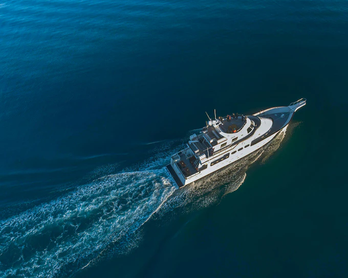 Reykjavik: Whale Watching & Marine Life Cruise