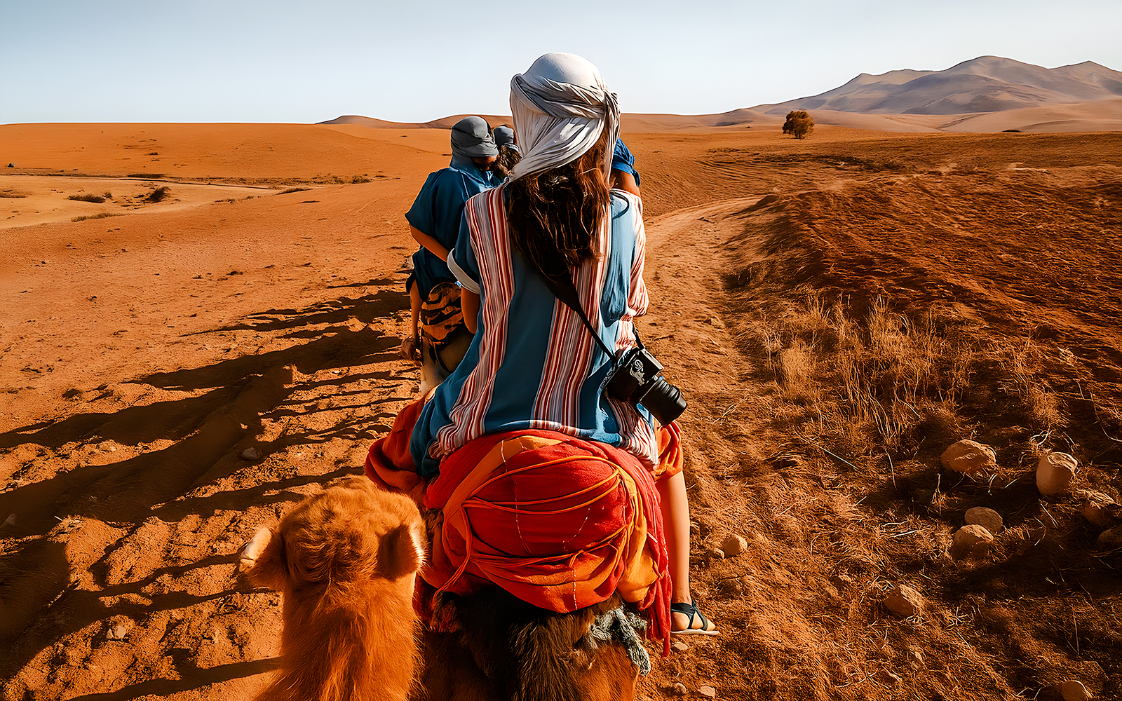 Paseo en camello