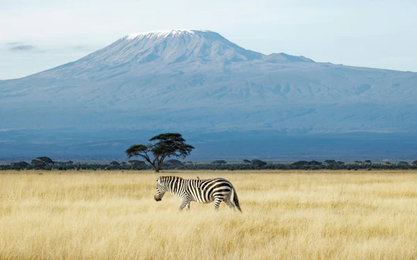 From Nairobi: Amboseli Day Safari with Kilimanjaro Views & Maasai Village Visit