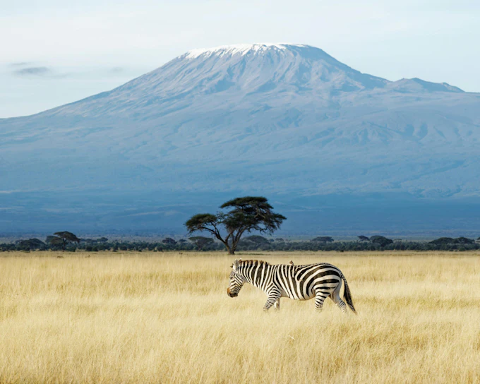 From Nairobi: Amboseli Day Safari with Kilimanjaro Views & Maasai Village Visit