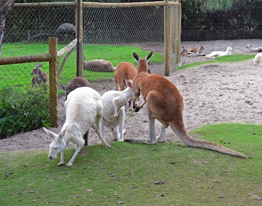 Day trips from Perth