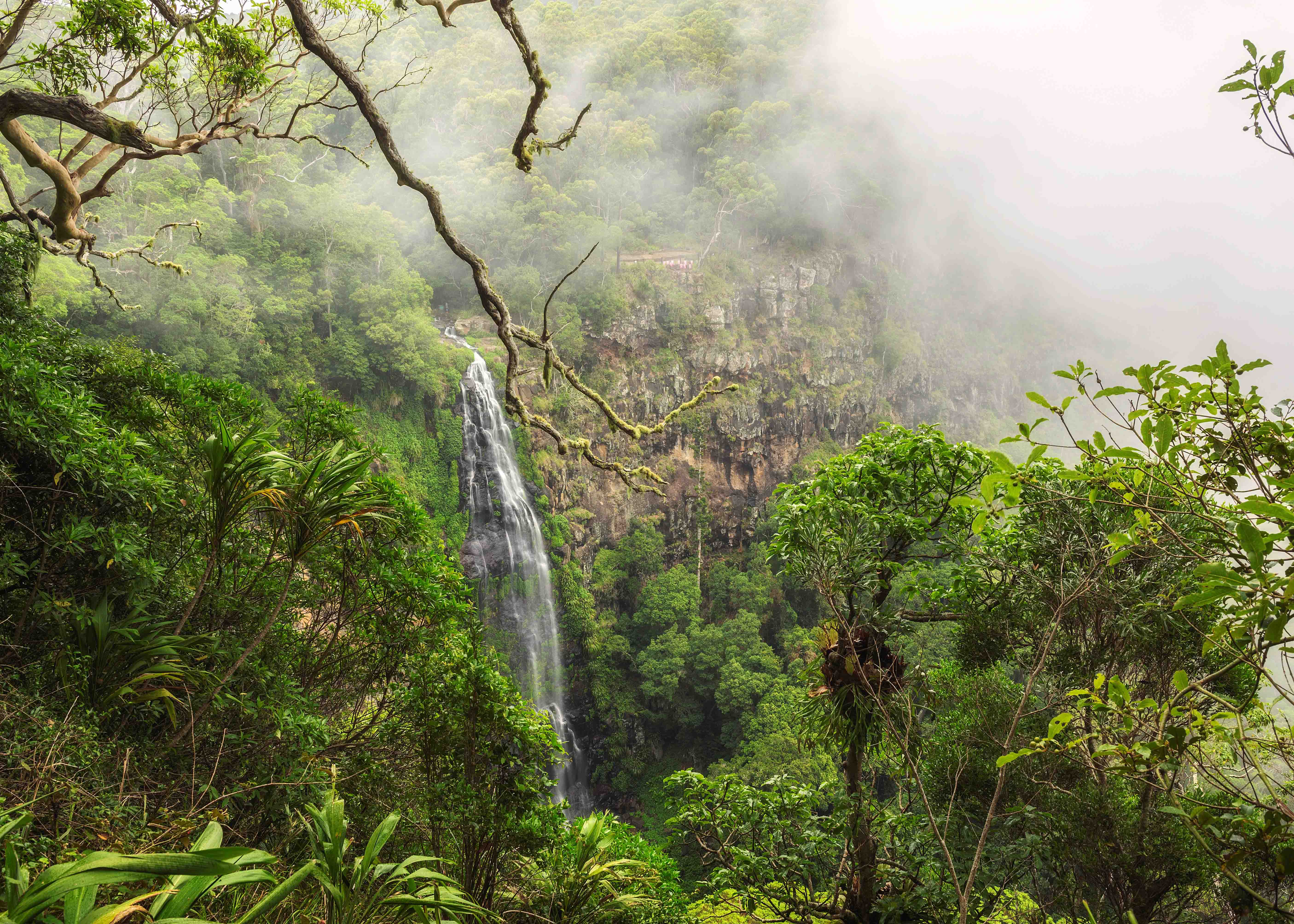 Things to do in Gold Coast