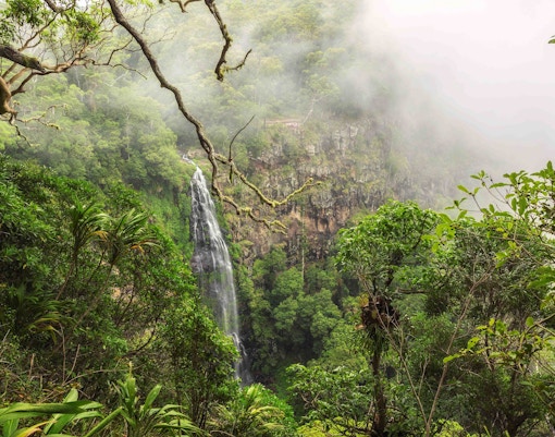 Things to do in Gold Coast