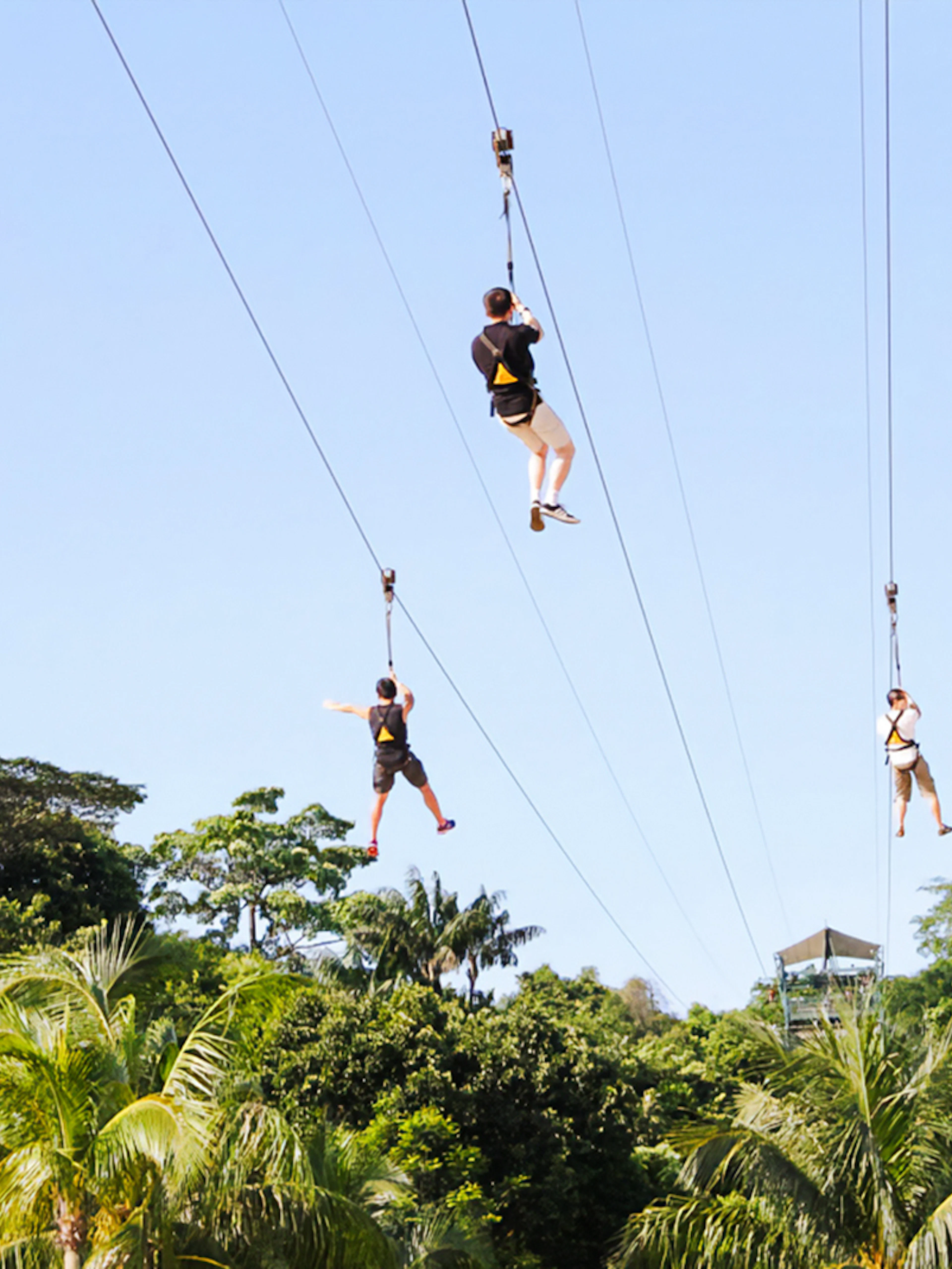 Ziplining over lush greenery at Mega Adventure Park, Singapore.