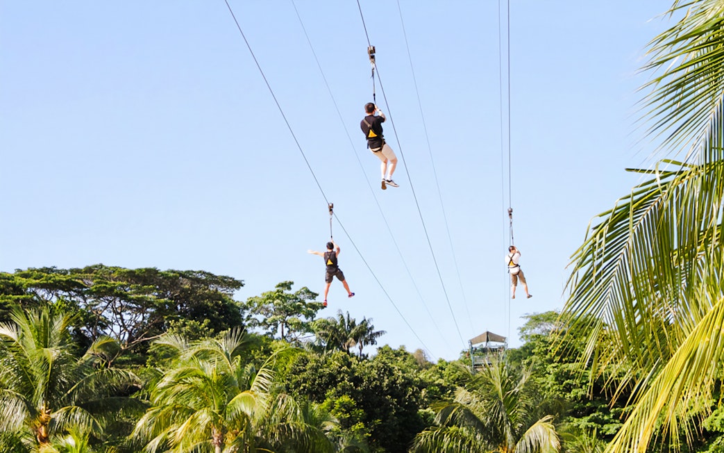 Ziplining over lush greenery at Mega Adventure Park, Singapore.