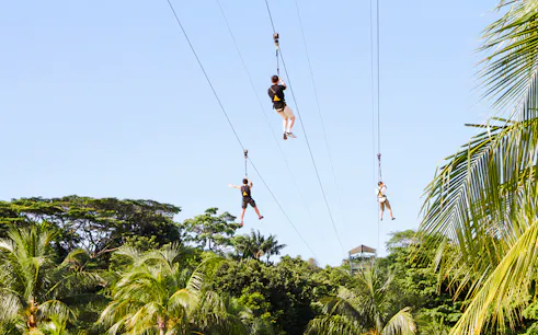 Ziplining over lush greenery at Mega Adventure Park, Singapore.