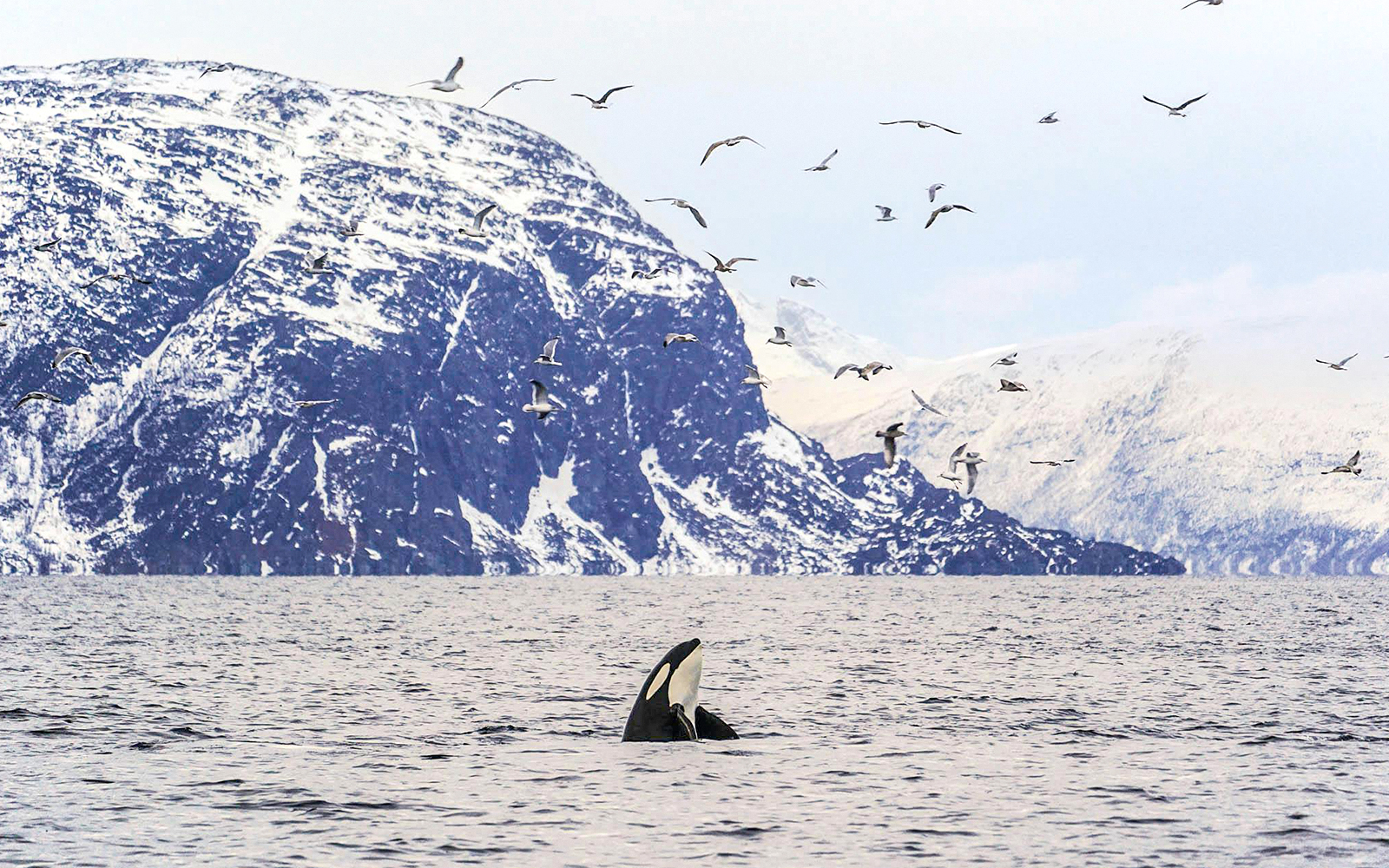 Deep and sheltered fjords