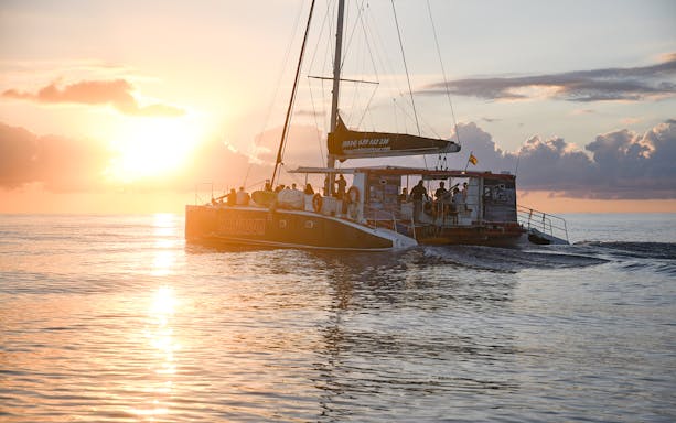 Catamaran sailing at sunrise in Mallorca for dolphin watching tour.
