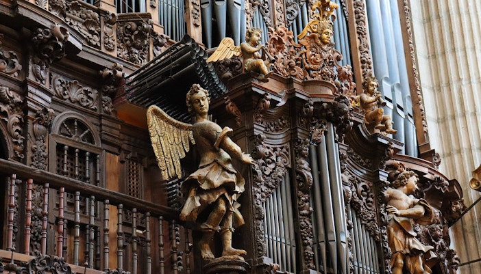 The Organ