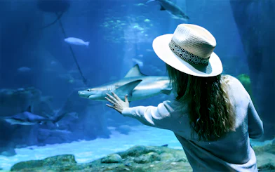 Woman in underwater tunnel reaching towards shark through glass.