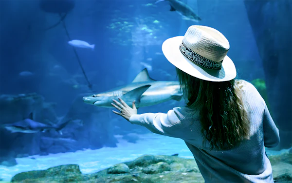 Combo: Langkawi Underwater World + Any 1 Langkawi Attraction Tickets [Malaysian Citizens]