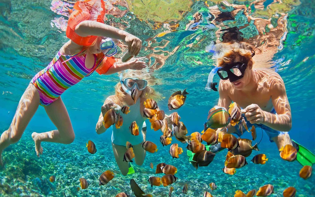 Family snorkeling with colorful fish at Giftun Island, Hurghada.