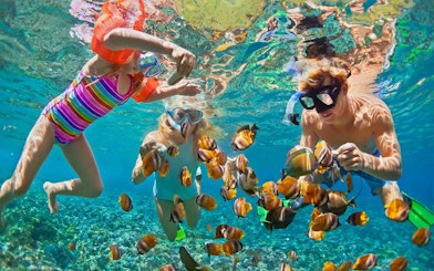 Family snorkeling with colorful fish at Giftun Island, Hurghada.