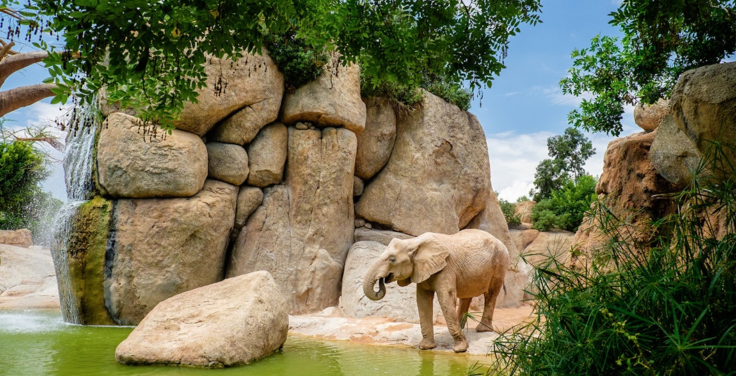 Bioparco Valencia
