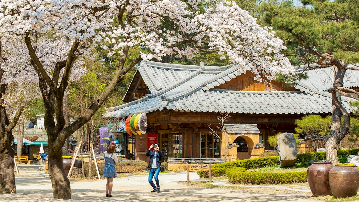 Visit to Nami Island