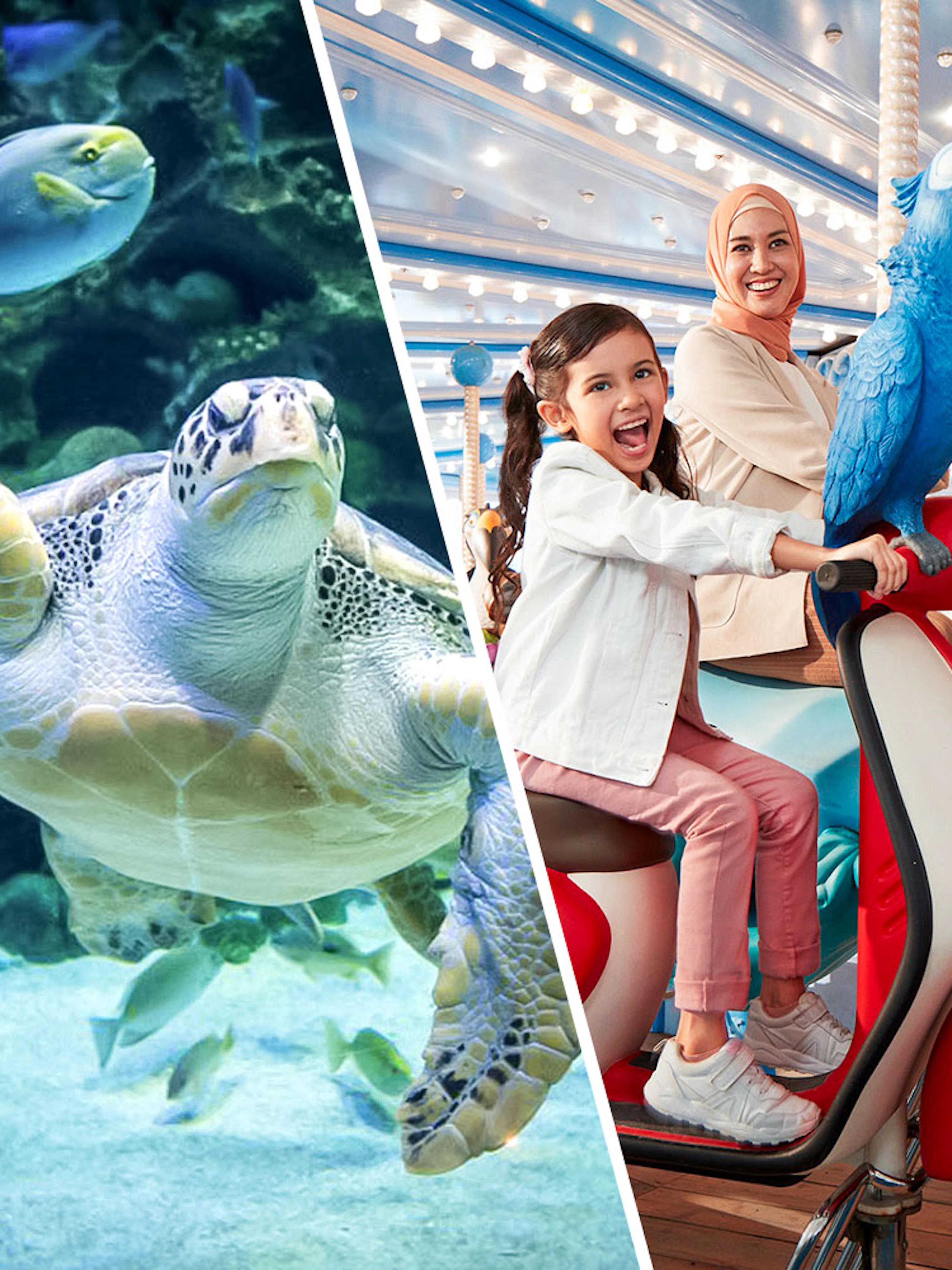 Sea turtle swimming at Aquaria KLCC and family enjoying ride at Genting SkyWorld Theme Park.