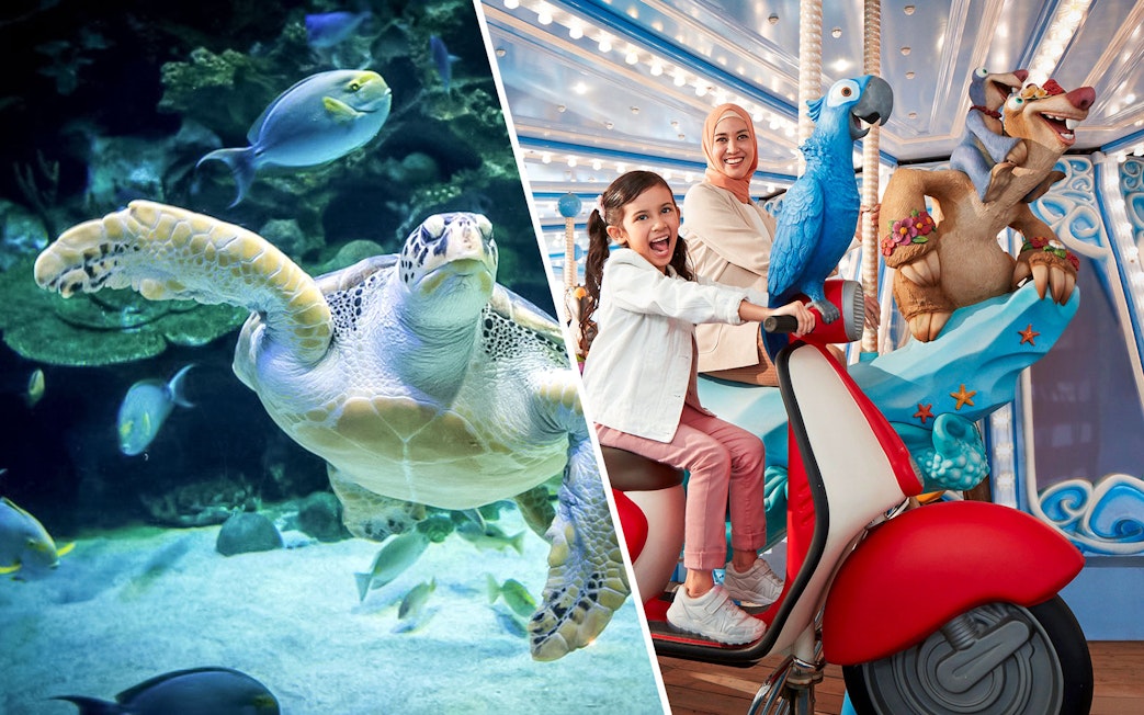 Sea turtle swimming at Aquaria KLCC and family enjoying ride at Genting SkyWorld Theme Park.