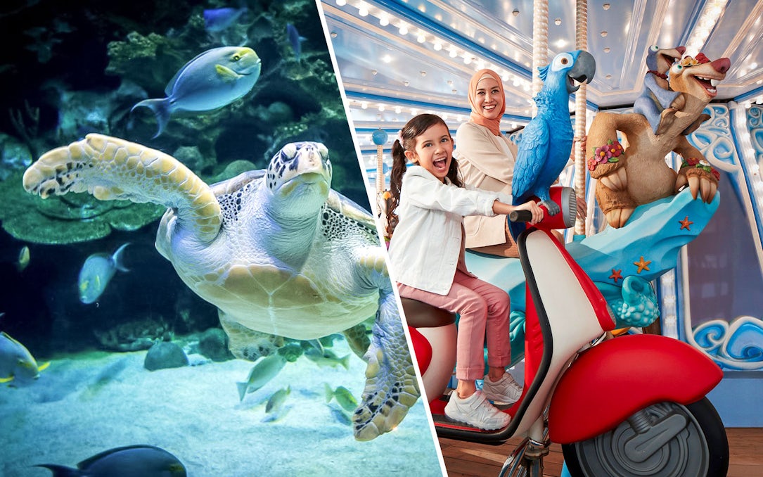 Sea turtle swimming at Aquaria KLCC and family enjoying ride at Genting SkyWorld Theme Park.