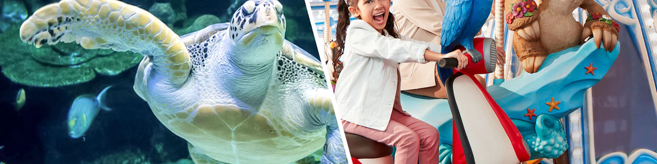 Combo: Aquaria KLCC + biglietti per il parco tematico all'aperto Genting SkyWorld