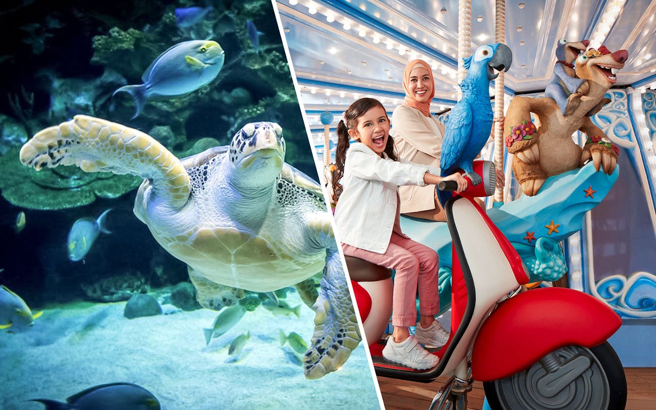 Sea turtle swimming at Aquaria KLCC and family enjoying ride at Genting SkyWorld Theme Park.