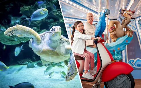 Sea turtle swimming at Aquaria KLCC and family enjoying ride at Genting SkyWorld Theme Park.