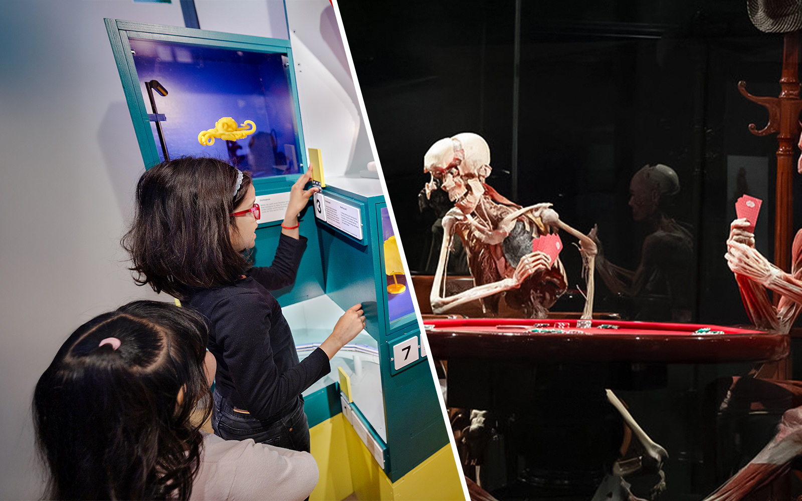 Children exploring interactive exhibit at NEMO Science Museum and anatomical display at Body Worlds Amsterdam.